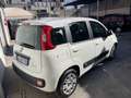 Fiat Panda 1.0 firefly hybrid s&s 70cv - thumbnail 3