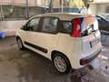 Fiat Panda 1.0 firefly hybrid s&s 70cv - thumbnail 19