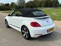 Volkswagen Beetle Cabriolet 1.2 TSI Design BlueMotion Cup NIEUWSTAAT Wit - thumbnail 38