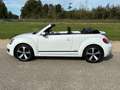 Volkswagen Beetle Cabriolet 1.2 TSI Design BlueMotion Cup NIEUWSTAAT Wit - thumbnail 3