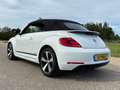 Volkswagen Beetle Cabriolet 1.2 TSI Design BlueMotion Cup NIEUWSTAAT Wit - thumbnail 41