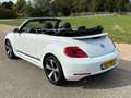 Volkswagen Beetle Cabriolet 1.2 TSI Design BlueMotion Cup NIEUWSTAAT Wit - thumbnail 7