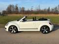 Volkswagen Beetle Cabriolet 1.2 TSI Design BlueMotion Cup NIEUWSTAAT Weiß - thumbnail 3