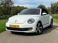Volkswagen Beetle Cabriolet 1.2 TSI Design BlueMotion Cup NIEUWSTAAT Weiß - thumbnail 30