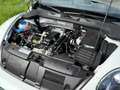 Volkswagen Beetle Cabriolet 1.2 TSI Design BlueMotion Cup NIEUWSTAAT Wit - thumbnail 4