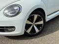 Volkswagen Beetle Cabriolet 1.2 TSI Design BlueMotion Cup NIEUWSTAAT Wit - thumbnail 5