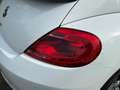 Volkswagen Beetle Cabriolet 1.2 TSI Design BlueMotion Cup NIEUWSTAAT Weiß - thumbnail 29