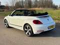 Volkswagen Beetle Cabriolet 1.2 TSI Design BlueMotion Cup NIEUWSTAAT Weiß - thumbnail 7