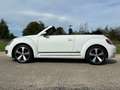 Volkswagen Beetle Cabriolet 1.2 TSI Design BlueMotion Cup NIEUWSTAAT Wit - thumbnail 47