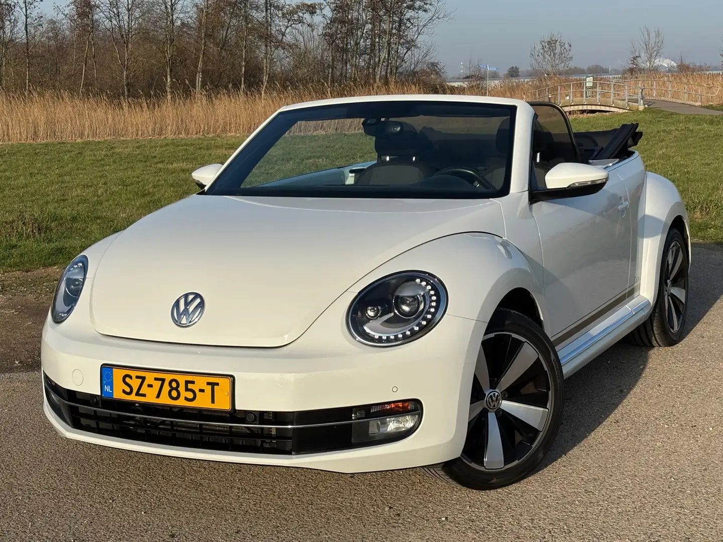 Volkswagen Beetle Cabriolet 1.2 TSI Design BlueMotion Cup NIEUWSTAAT Weiß - 1