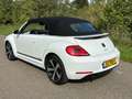 Volkswagen Beetle Cabriolet 1.2 TSI Design BlueMotion Cup NIEUWSTAAT Wit - thumbnail 45