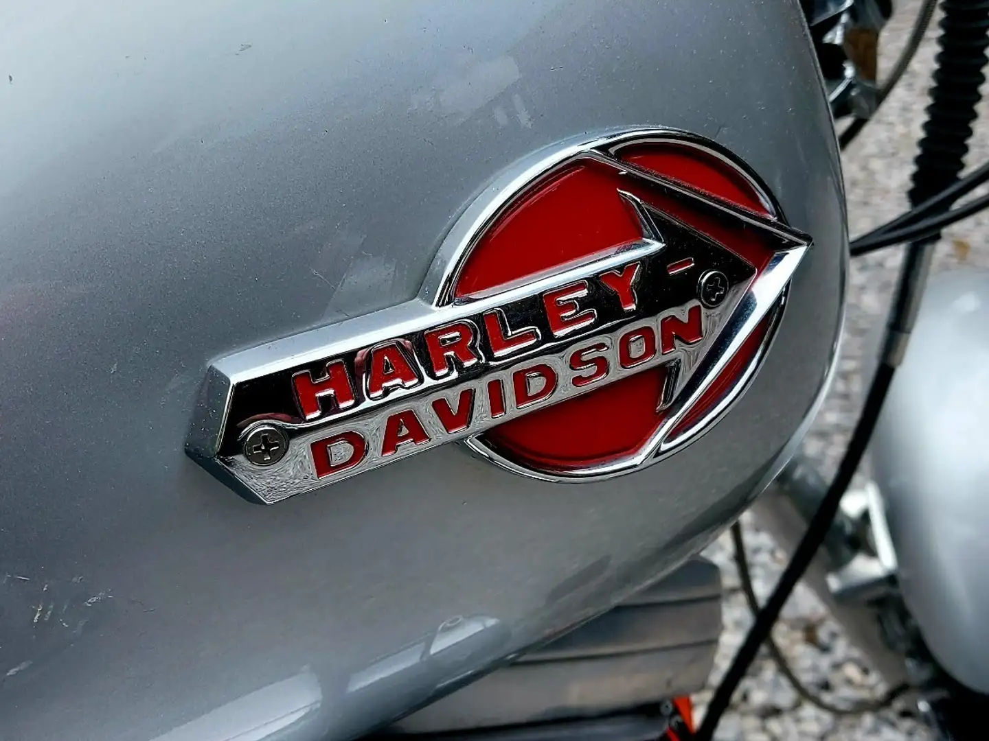 Harley-Davidson Softail Argintiu - 2