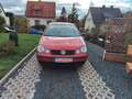 Volkswagen Polo Basis Rouge - thumbnail 3