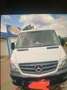 Mercedes-Benz Sprinter 211 CDI 906.111 WORKER - thumbnail 8