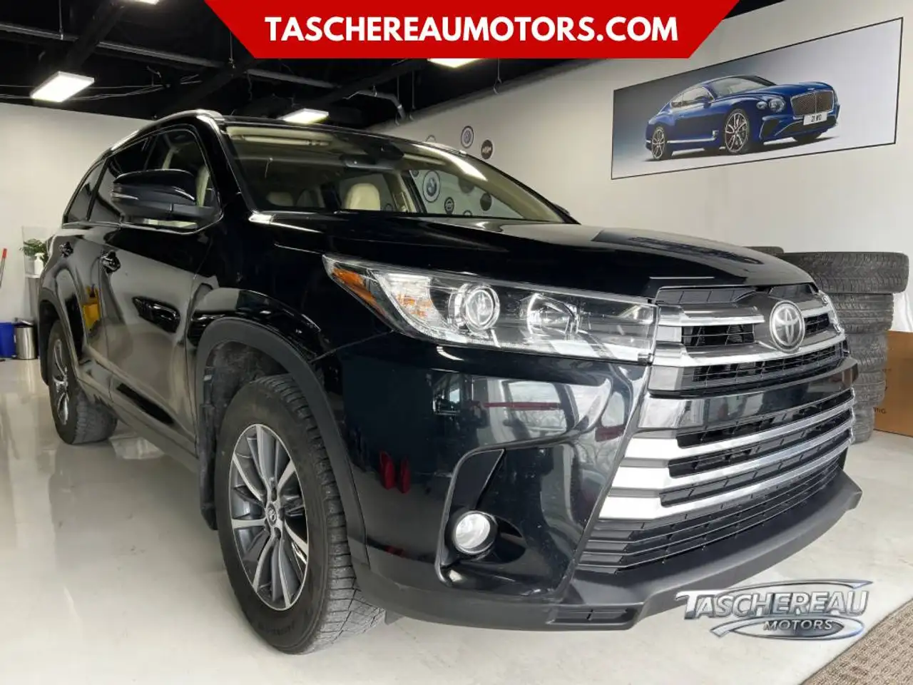 Toyota Highlander fotografie Toyota Highlander