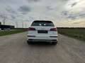 Audi Q5 40 TDI S-Line quattro sport S-tronic **Eintausc... Weiß - thumbnail 5