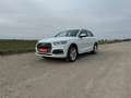 Audi Q5 40 TDI S-Line quattro sport S-tronic **Eintausc... Weiß - thumbnail 1