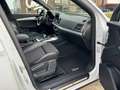 Audi Q5 40 TDI S-Line quattro sport S-tronic **Eintausc... Weiß - thumbnail 10