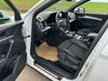 Audi Q5 40 TDI S-Line quattro sport S-tronic **Eintausc... Weiß - thumbnail 7