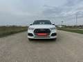Audi Q5 40 TDI S-Line quattro sport S-tronic **Eintausc... Weiß - thumbnail 2