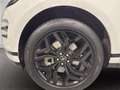 Land Rover Range Rover Evoque 2.0d i4 mhev r-dynamic s awd 150cv auto Bianco - thumbnail 15