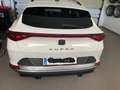 CUPRA Formentor Formentor 1,4 e-Hybrid 204 Cupra DSG Cupra Weiß - thumbnail 3