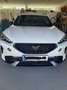 CUPRA Formentor Formentor 1,4 e-Hybrid 204 Cupra DSG Cupra Weiß - thumbnail 1