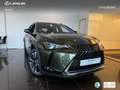 Lexus UX 250h Business 2WD Verde - thumbnail 12