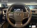 Lexus UX 250h Business 2WD Verde - thumbnail 17