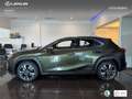Lexus UX 250h Business 2WD Verde - thumbnail 13