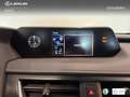 Lexus UX 250h Business 2WD Verde - thumbnail 19