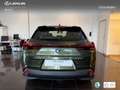 Lexus UX 250h Business 2WD Verde - thumbnail 5