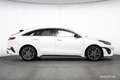 Kia ProCeed / pro_cee'd 1.5 GT-Line Aut. ASSISTENZ KAMERA MEGA-PREIS Weiß - thumbnail 33