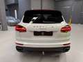 Porsche Cayenne Cayenne II Restyling Sospensioni Gancio Tetto Blanc - thumbnail 4