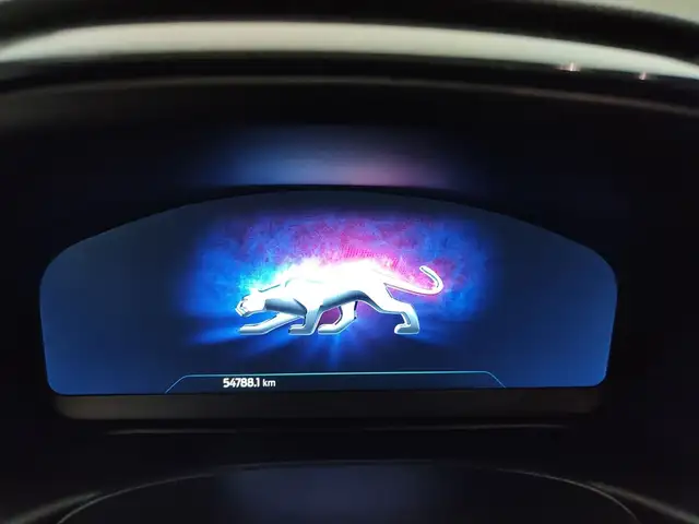 Ford Puma view 12