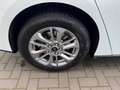 Ford Focus Turnier 1.5TDCI Titanium X AUTOMATIK*LED* Blanc - thumbnail 25