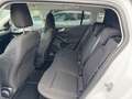 Ford Focus Turnier 1.5TDCI Titanium X AUTOMATIK*LED* Blanc - thumbnail 20