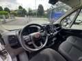 Fiat Ducato MAXI L1 H1 35 2.2  140CV CENTINA SPONDA IDRAULICA Blanc - thumbnail 5