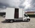 Fiat Ducato MAXI L1 H1 35 2.2  140CV CENTINA SPONDA IDRAULICA Blanc - thumbnail 8