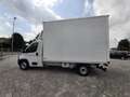 Fiat Ducato MAXI L1 H1 35 2.2  140CV CENTINA SPONDA IDRAULICA Blanc - thumbnail 7