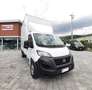 Fiat Ducato MAXI L1 H1 35 2.2  140CV CENTINA SPONDA IDRAULICA Blanc - thumbnail 1