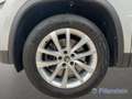 Skoda Kodiaq STYLE 2.0 TDI DSG STANDH AHK KAMERA NAVI Grau - thumbnail 6