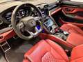 Lamborghini Urus Urus 4.0 V8 S auto Nero - thumbnail 6