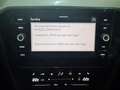 Volkswagen Passat Variant 2,0 Tdi DSG R-Line Zwart - thumbnail 20