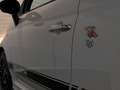 Abarth 595 C 1.4 T-Jet Abarth 595 70th Anniversary Cabrio Car Blanc - thumbnail 37