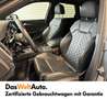 Audi SQ5 TDI quattro Grau - thumbnail 8