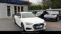 Audi A4 Avant 40 TDI advanced Navi/LED/Kamera/1.Hand Weiß - thumbnail 1