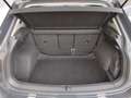 Volkswagen Tiguan Life TDI 4MOTION DSG Grau - thumbnail 10