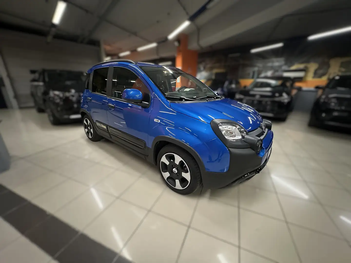 Fiat Panda Pandina III 2024 Cross 1.0 firefly hybrid s Blu/Azzurro - 2