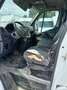 Renault Master III Phase 1 Cabine approfondie 7 places 2.3 DCI 125 cv Année 2010 5300 HT en l'état pour professionnel ou export Weiß - thumbnail 5